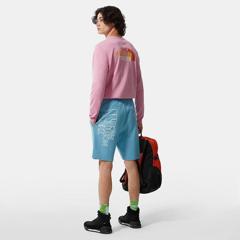 The North Face Graphic Light Ανδρικα Σορτς - Μπλε (MTWH24590)